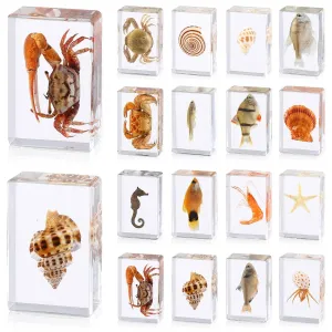 16 Pcs Ocean Animal Insect in Resin Specimen Bugs Collection Paperweights16 Styles Real Bug Specimen Bug Kit Preserved in Resin for Scientific Educational Display Supplies (Ocean)