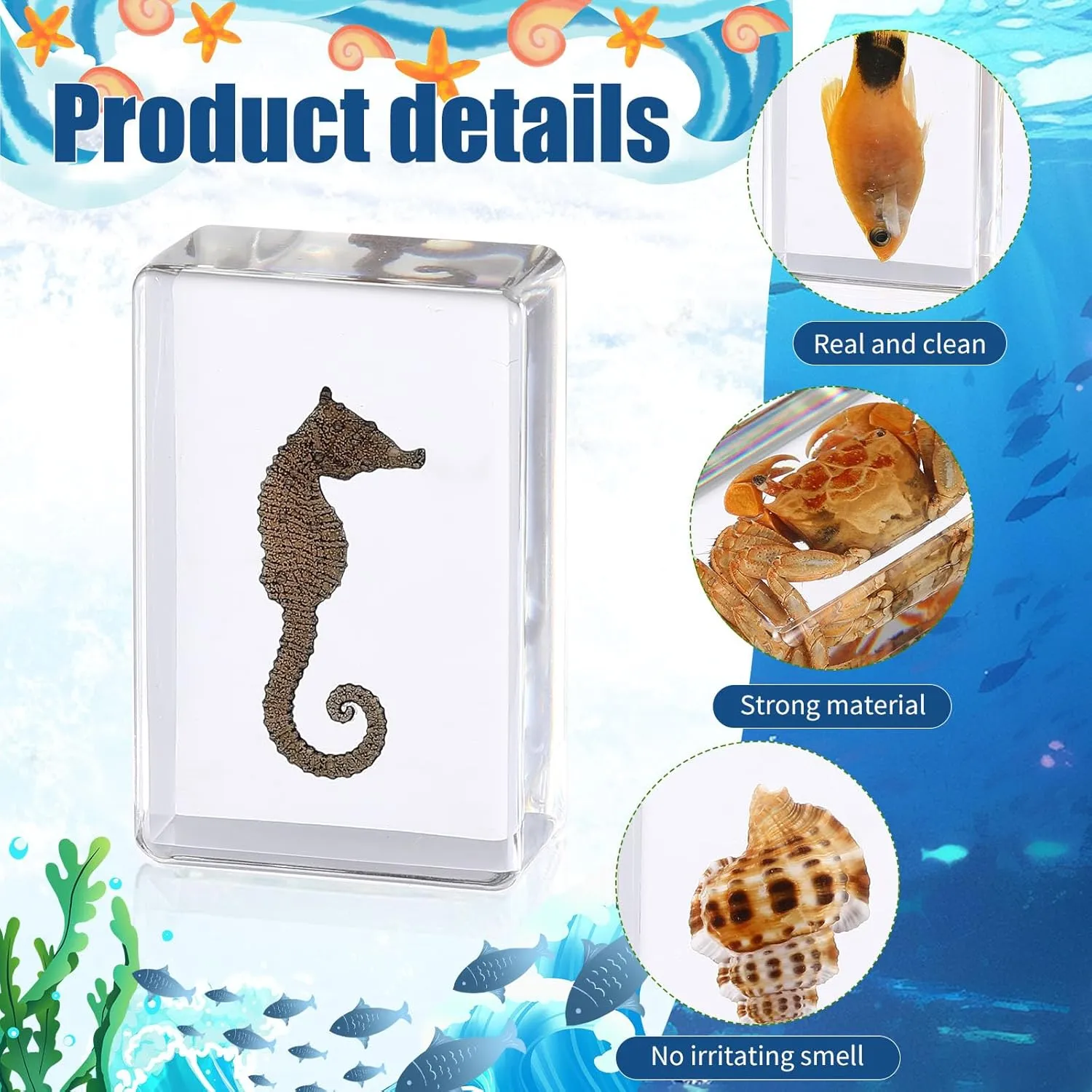 16 Pcs Ocean Animal Insect in Resin Specimen Bugs Collection Paperweights16 Styles Real Bug Specimen Bug Kit Preserved in Resin for Scientific Educational Display Supplies (Ocean)