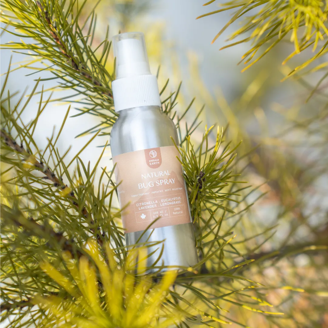 Backcountry Essentials : Gift Set